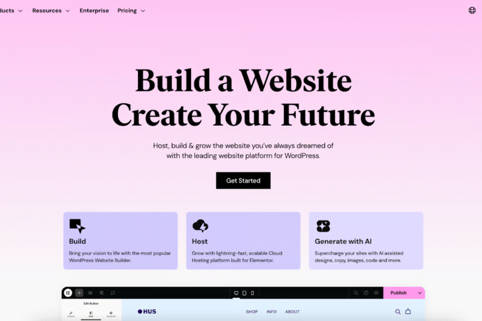 Elementor website development software